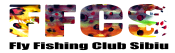 FFCS Logo