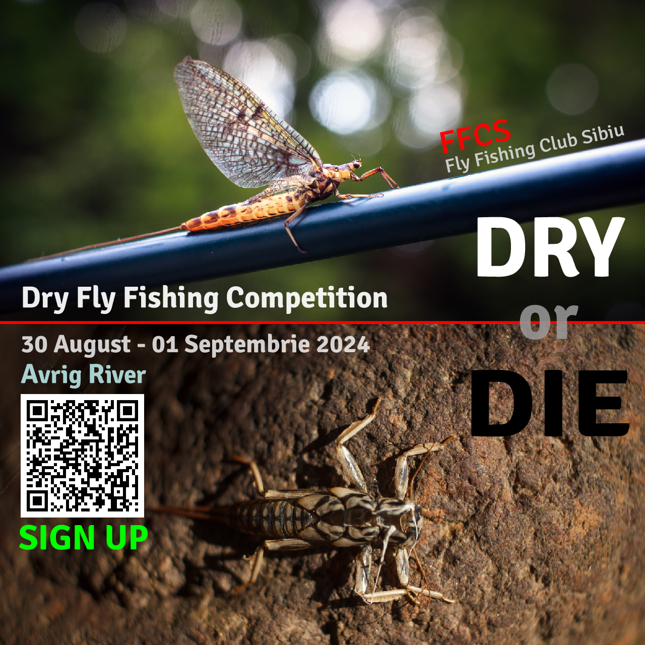 Invitatie Dry or Die 2024_dry or die